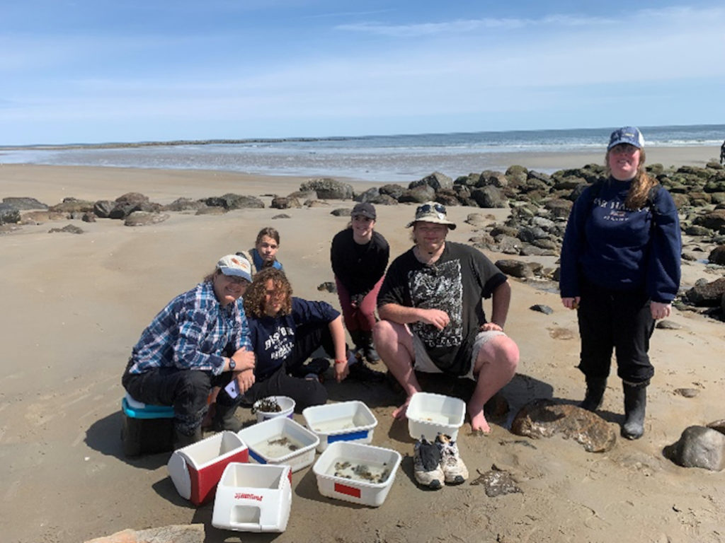 Massachusetts Audubon Internship Program The Tower Foundation